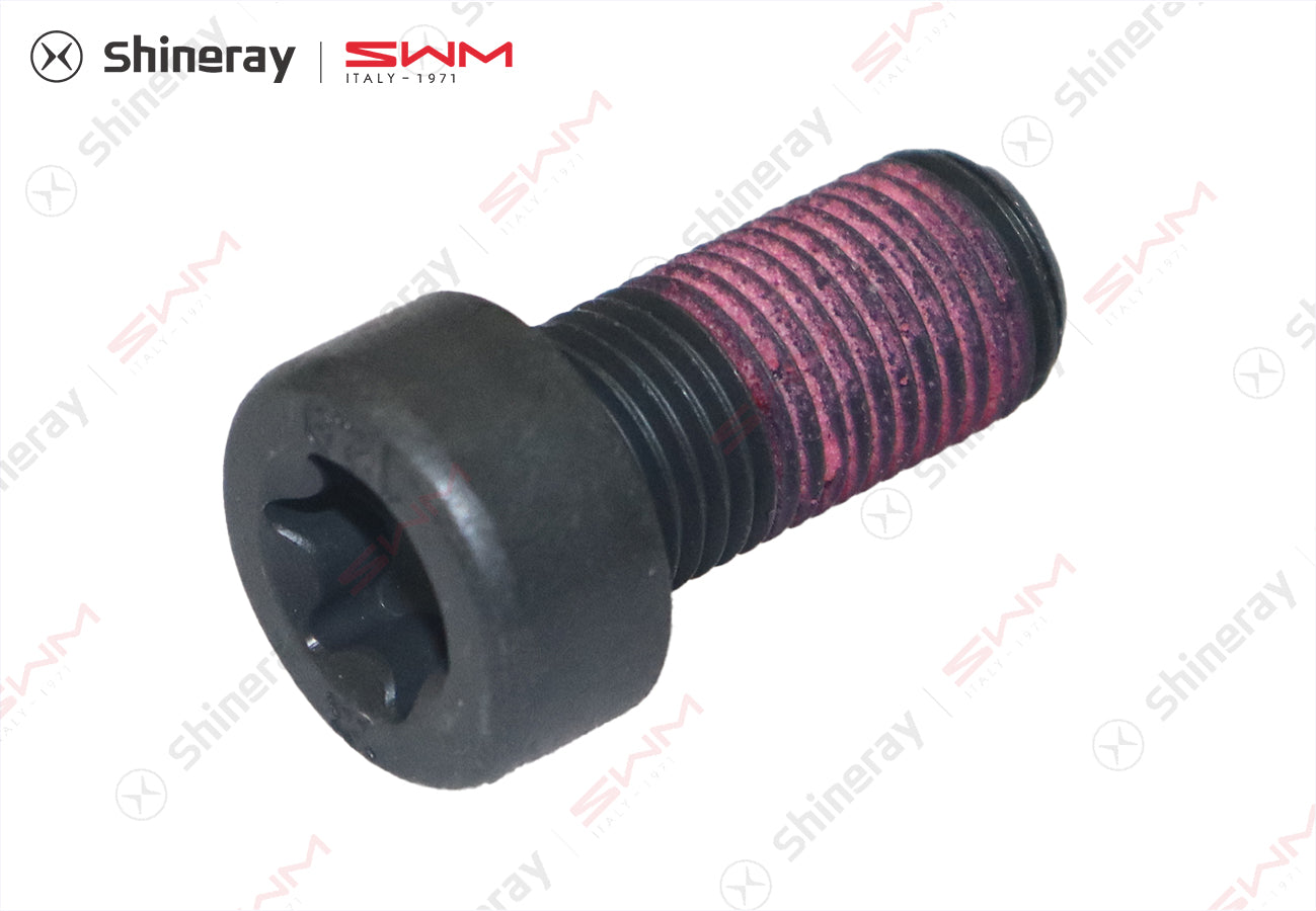 1005001-T1502-A000000>Flywheel bolt>7DCT