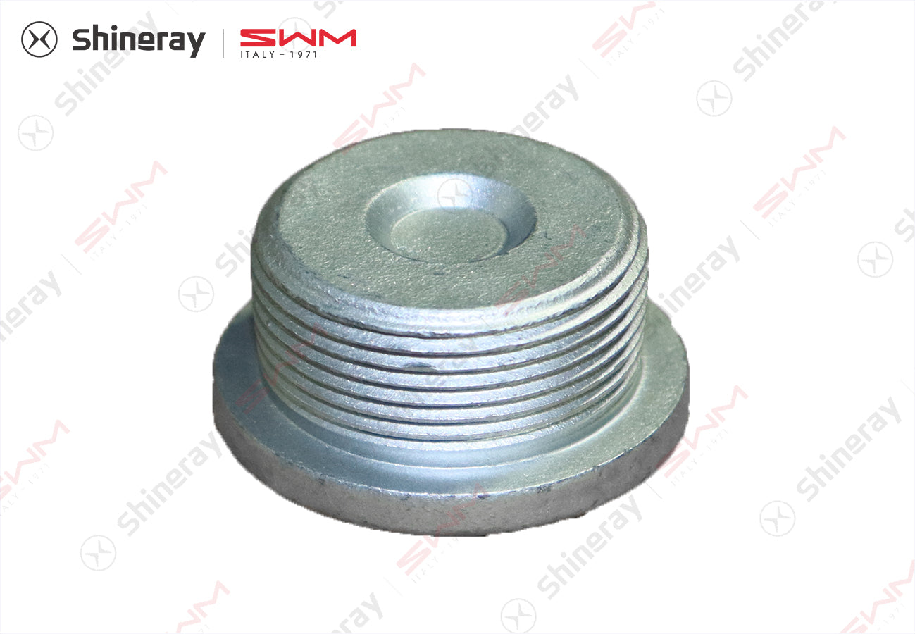1009207-T1500-A00000P>Hexagon socket plug>7DCT
