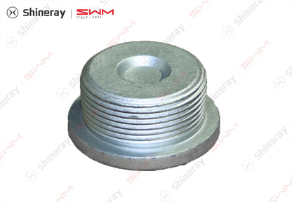 1009207-T1500-A00000P>Hexagon socket plug>7DCT
