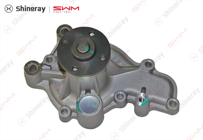 1307010-C1000-AA00000>Water pump assembly