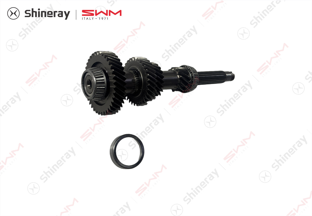 1700064-E2000-A0000P>Intermediate shaft assembly