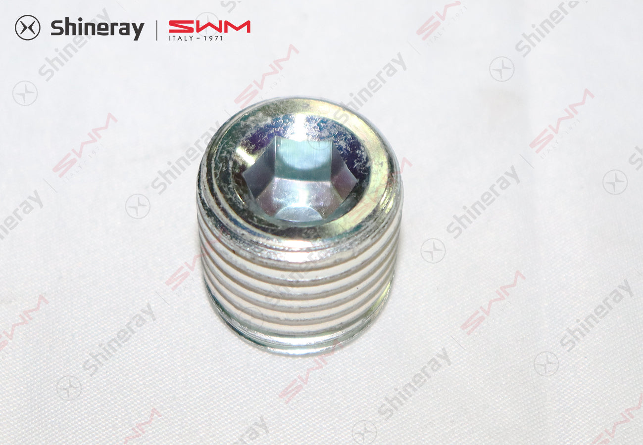 1700105-E2000-A00000P>Drain plug assembly