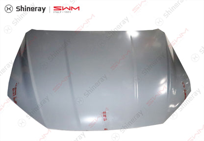 8401000-E0020-A010000>Engine hood assembly (electrophoresis)