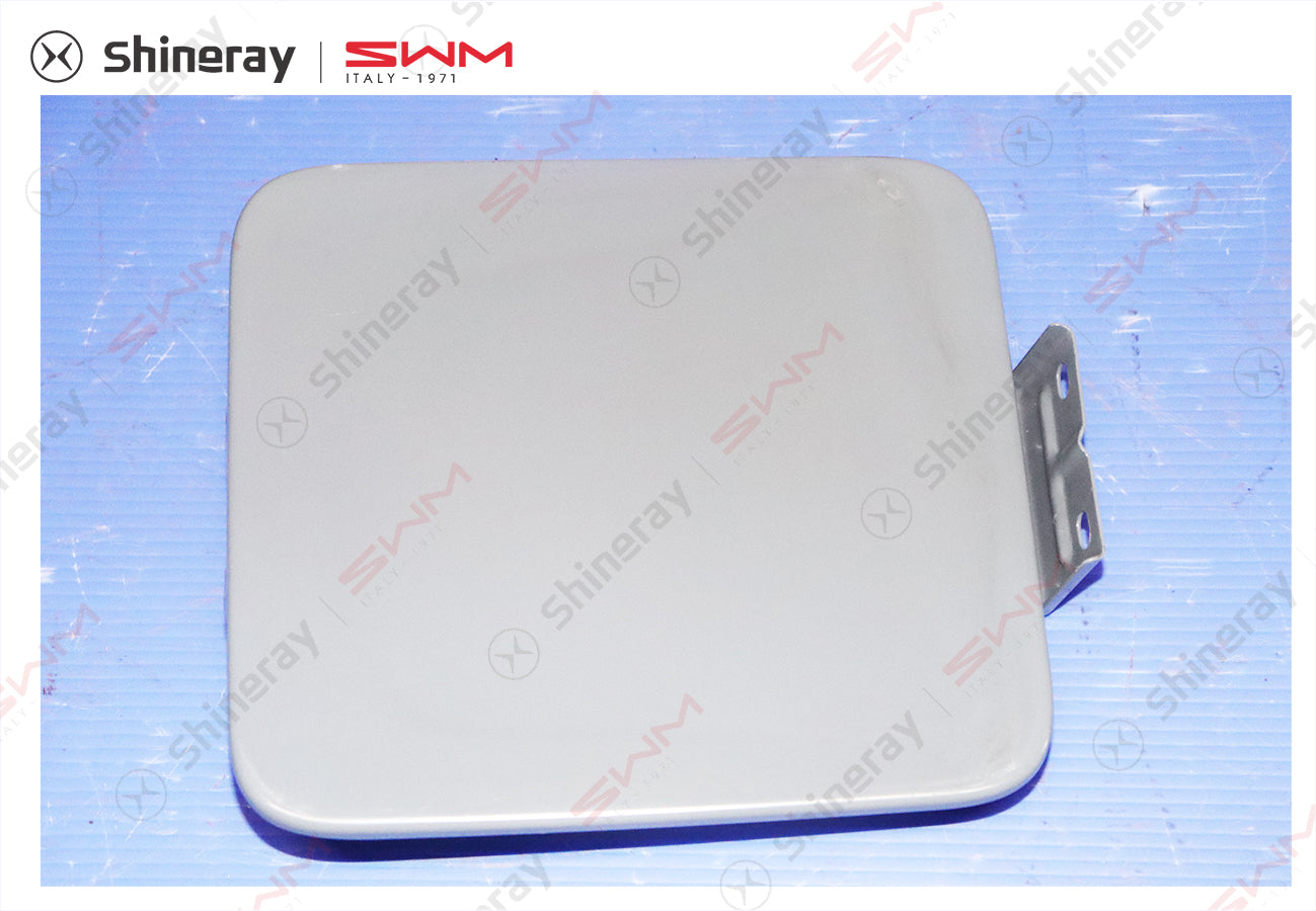 5402710-C0020-A010000>Fuel Tank Door Assembly (Electrophoretic)