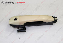 6105500-C0010-A000000>Left front door handle assembly (spray painted