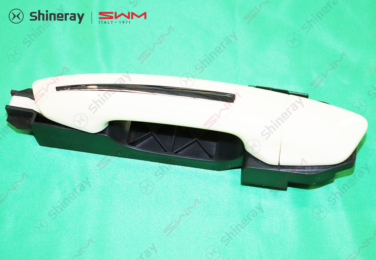 6205700-F0010-A000000>Left rear door handle assembly (painted - bright strip)