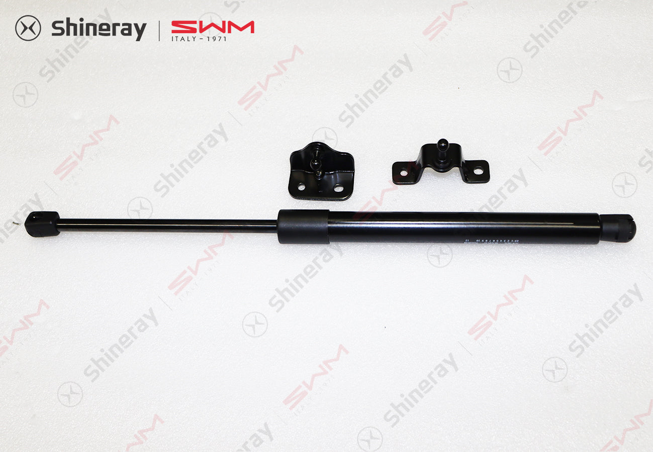 6309100-D0010-A000000>Left tailgate gas spring assembly