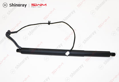 6309101-E0020-A000000>Electric tailgate left strut assembly