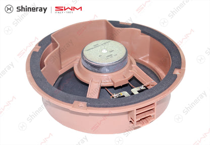 7909100-E0010-A10000>Bass Speaker