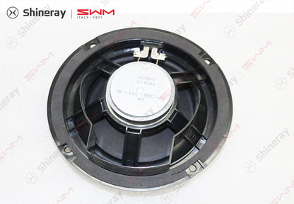 7911220-C0010-B100000>Bass Speaker Assembly
