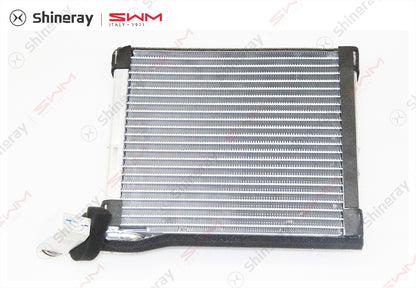 8101160-D0010-A000000>Evaporator assembly (with temperature sensor)