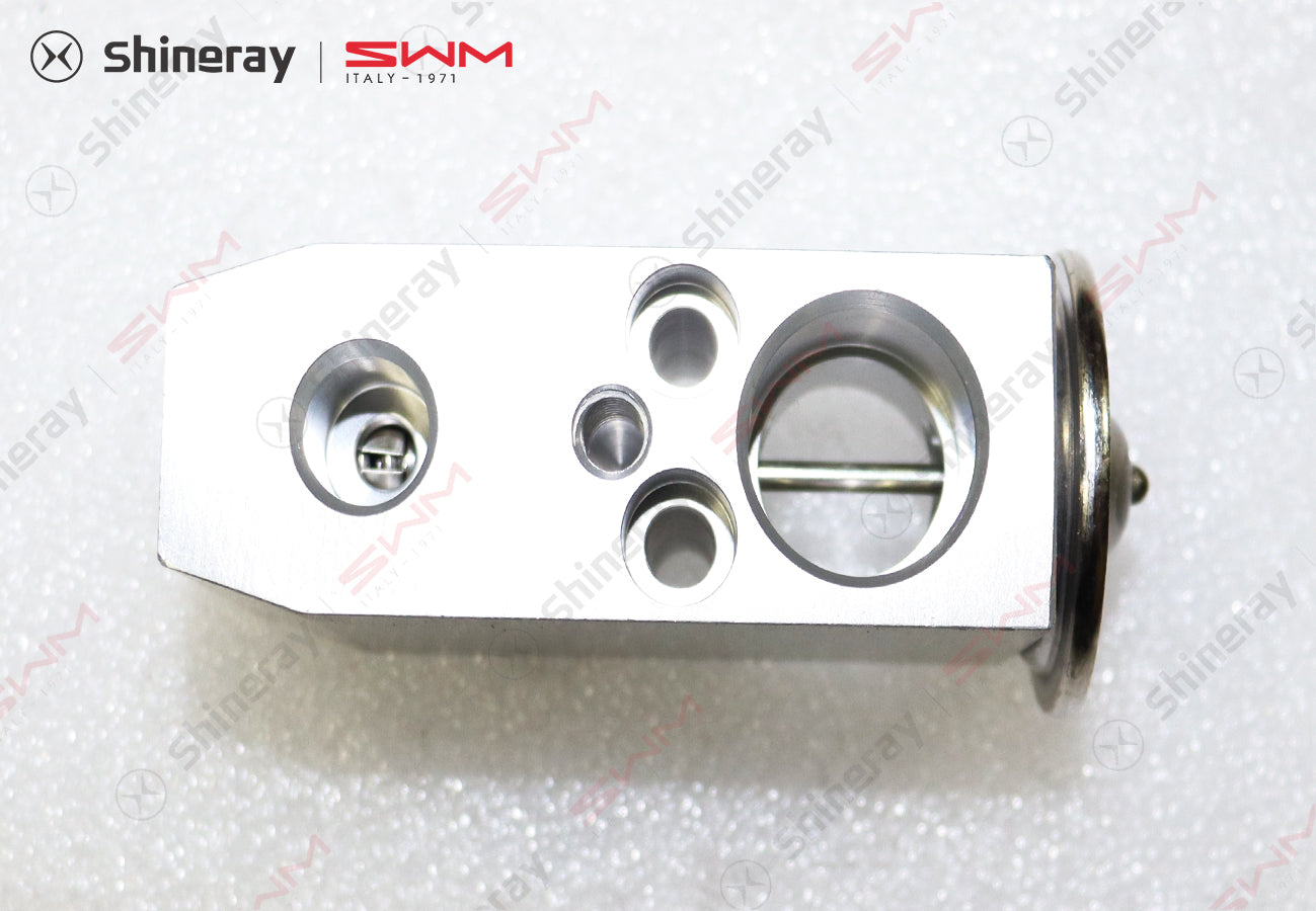 8107320-D0010-A000000>Expansion Valve