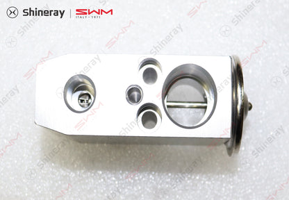 8107320-D0010-A000000>Expansion Valve