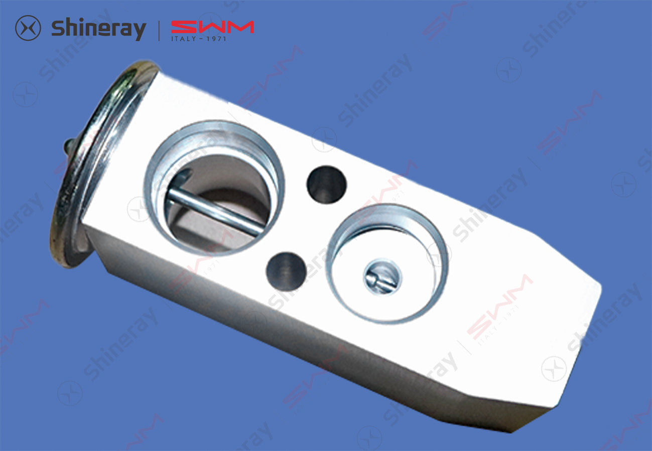 8107320-D0010-A000000>Expansion Valve