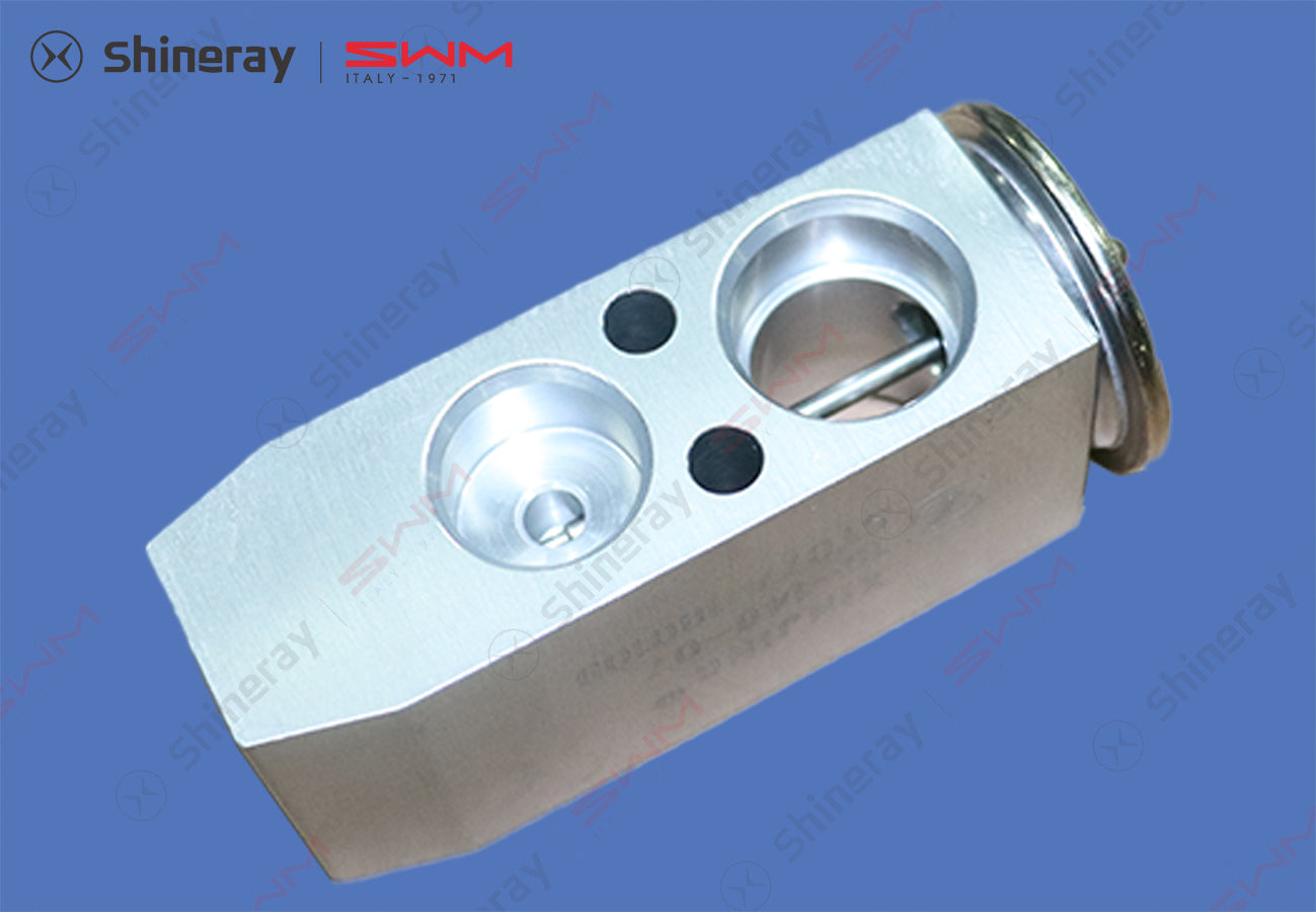 8107320-D0010-A000000>Expansion Valve