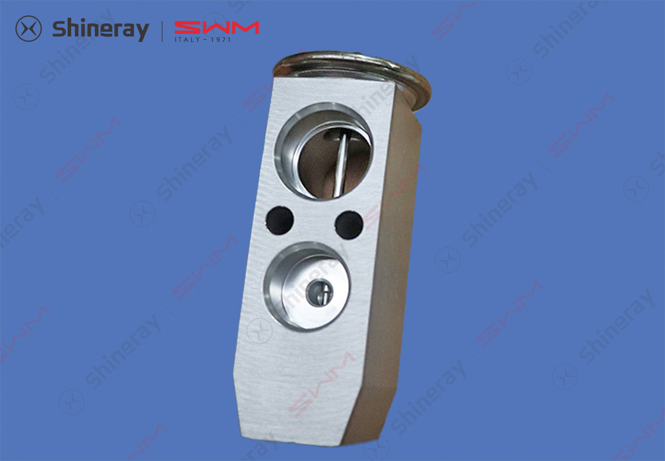 8107320-D0010-A000000>Expansion Valve