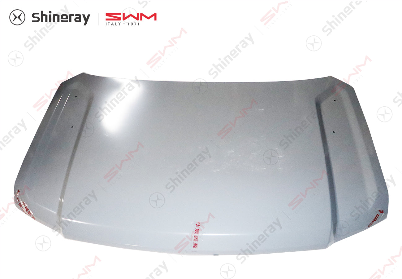 8401000-FA010-A039000>Engine hood assembly (electrophoresis)